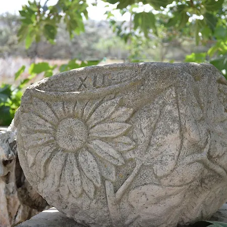 Georgia's דירה